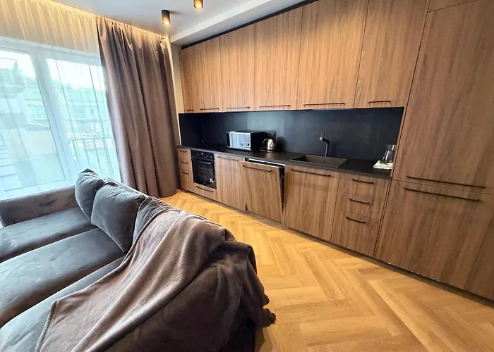 Two Bedroom Luxurious Spacios * فيلنيوس